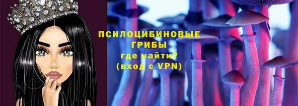дурь Богородск
