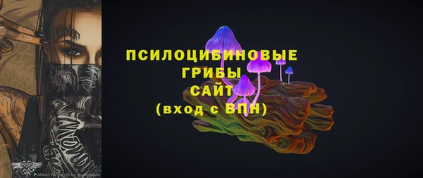 дурь Богородск