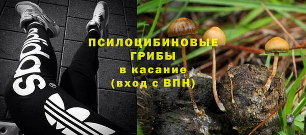 дурь Богородск
