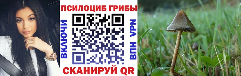 Псилоцибиновые грибы Cubensis  Михайлов 